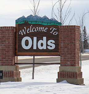 Olds